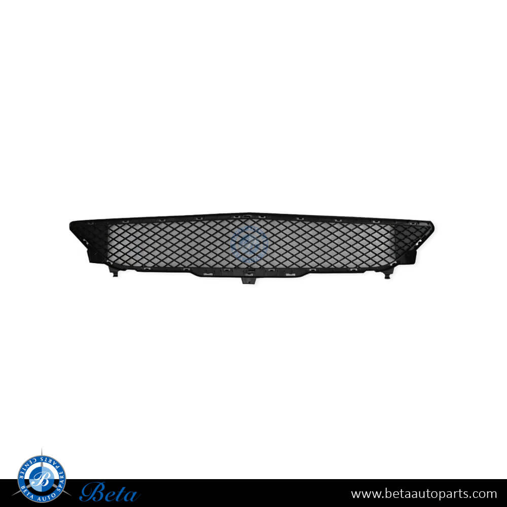 Front Bumper Lower Grille for Mercedes B-Class W246 2012-2014 models, Part Number 2468851122 Front Bumper Lower Grille for Mercedes B-Class W246 2012-2014 models, Part Number 2468851122